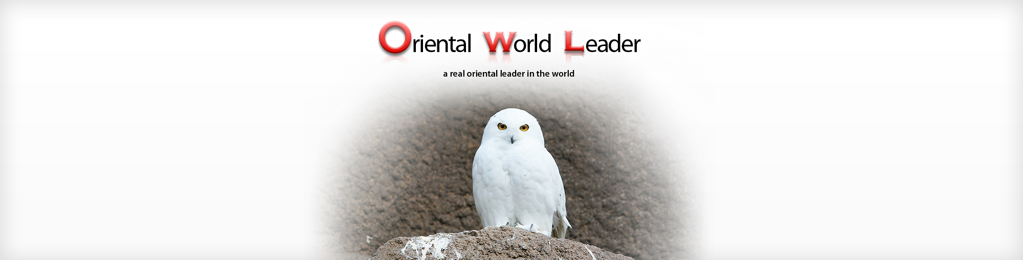 ���־� �̹���